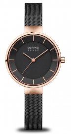 WATCH BERING 14631-166