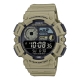 CASIO TIMELESS COLLECTION WS-1500H-5BVEF